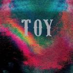 Toy Toy
